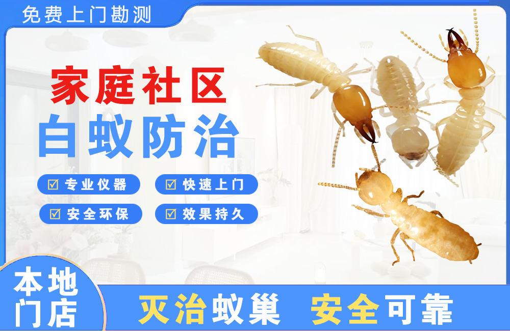宁德家庭社区白蚁防治
