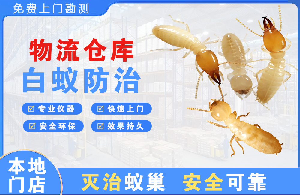 宁德物流仓库白蚁防治