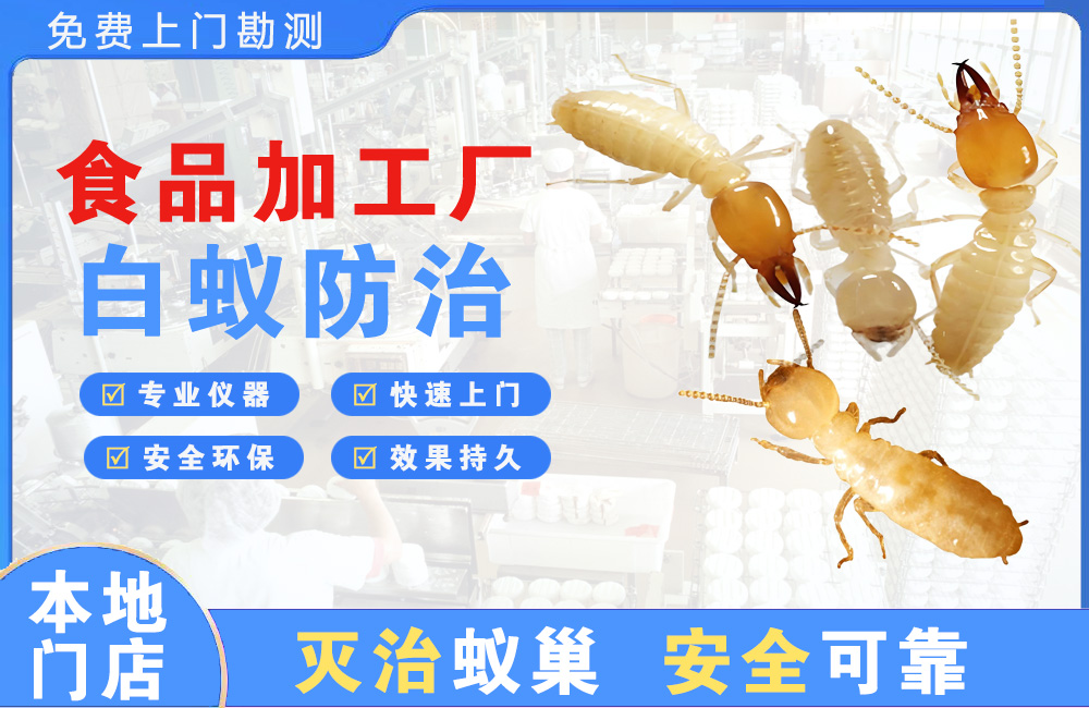 宁德食品加工厂白蚁防治