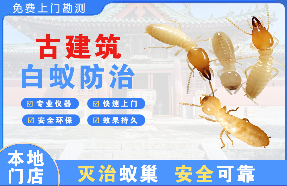 宁德古建筑白蚁防治