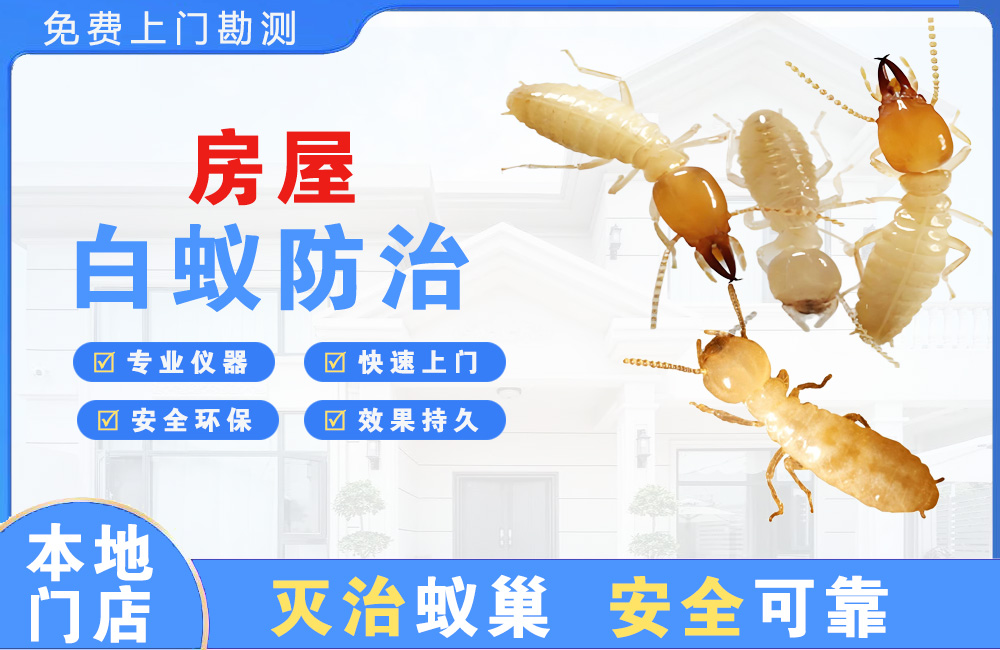 宁德房屋白蚁防治