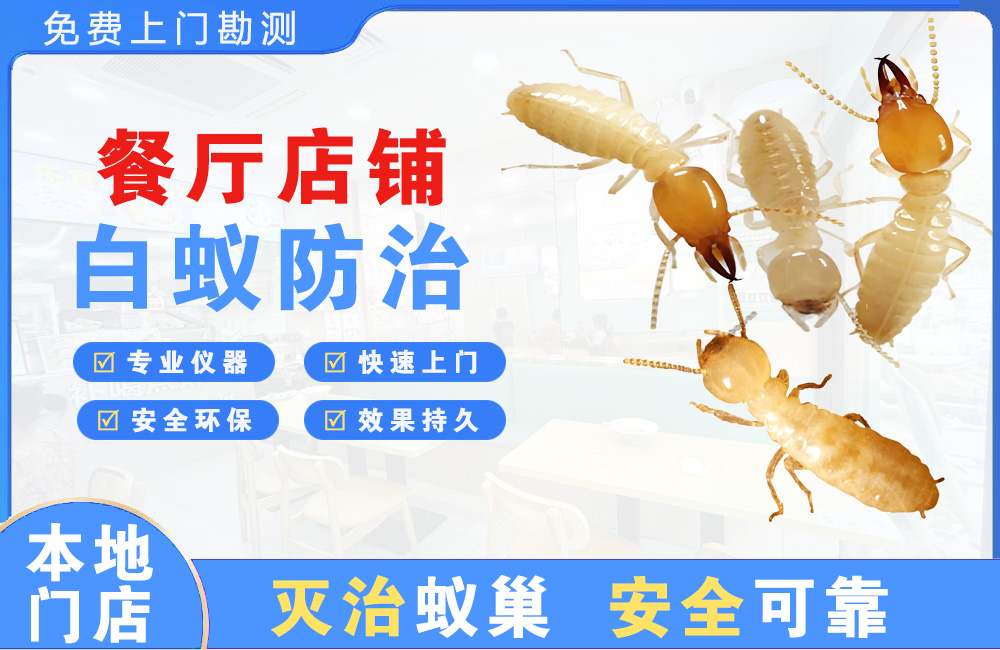 宁德餐厅店铺白蚁防治